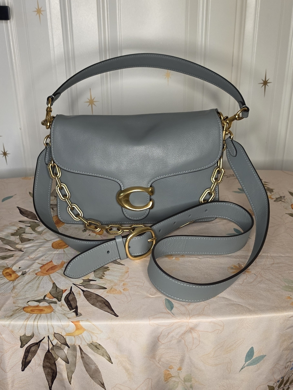 Sage Green Coach Chain Tabby